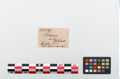Etikett zu Bronzegürtelhaken (NHMW-PRAE-024076)